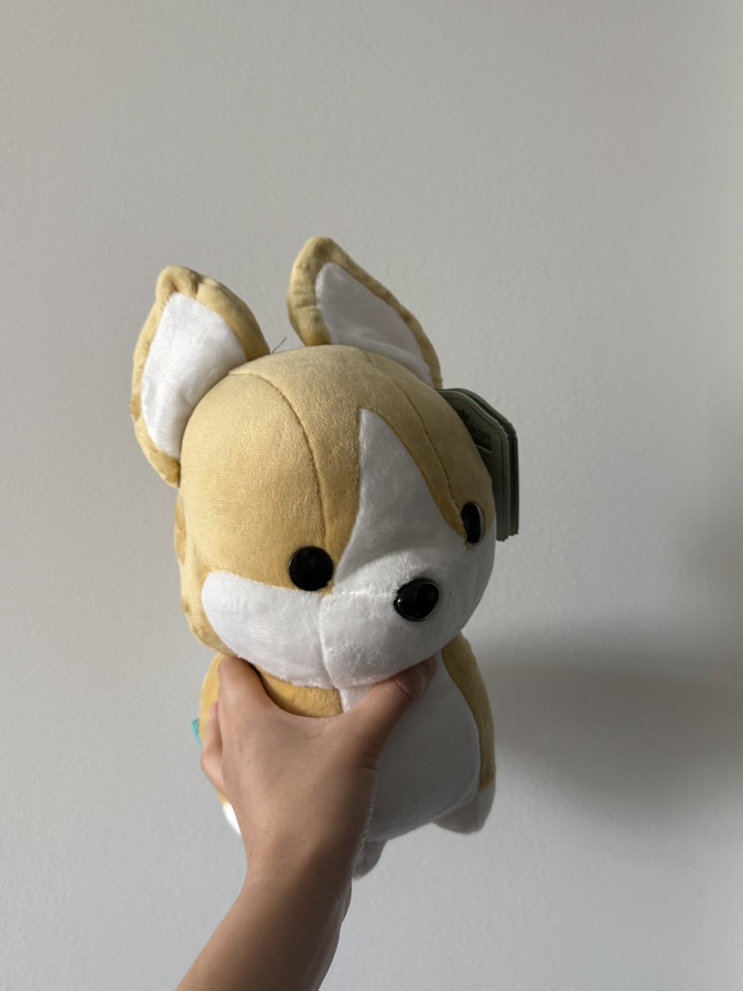 Corgi Plushie - New with Tags! - photo 4