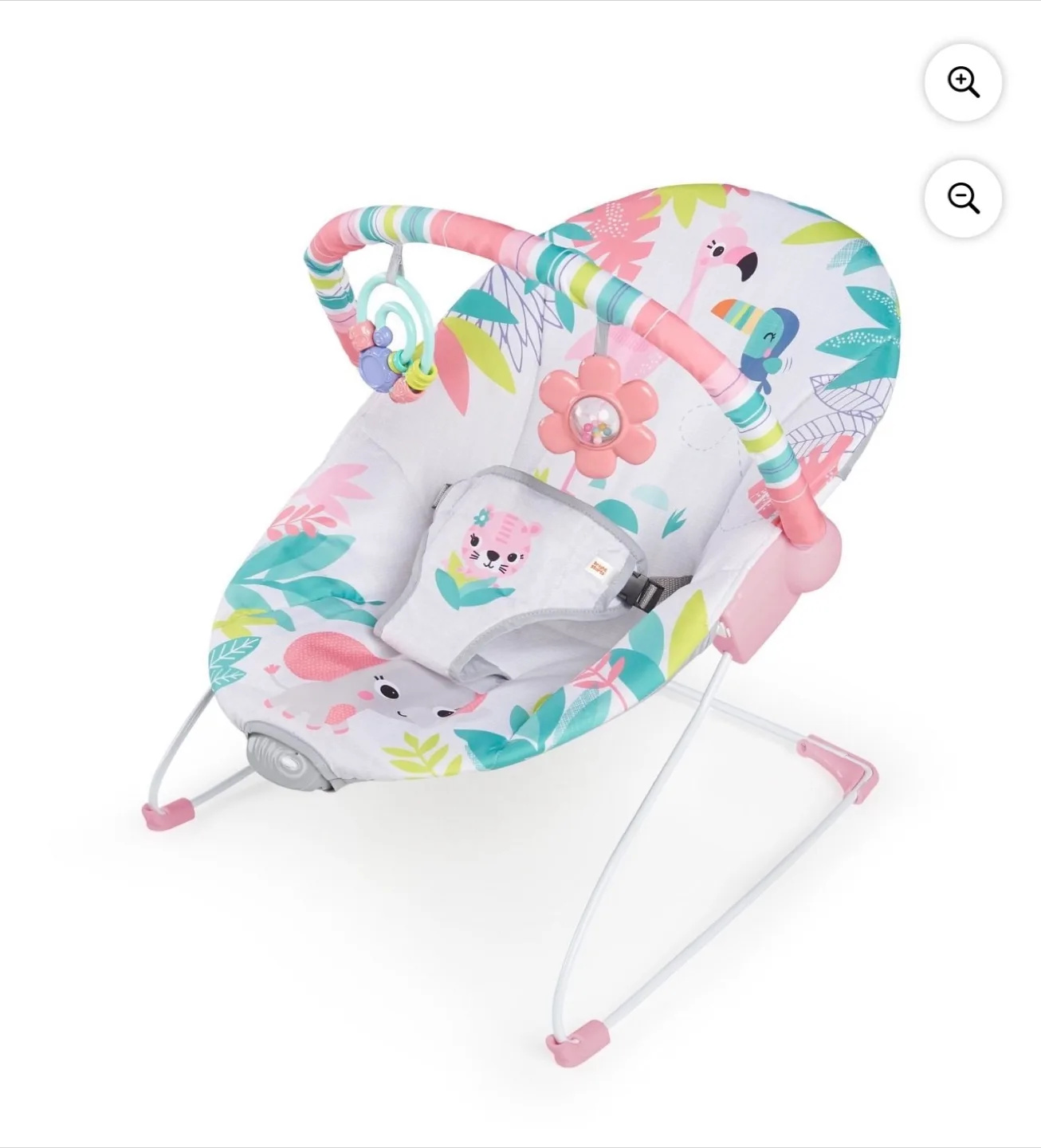 Bright Starts Baby Bouncer thumbnail