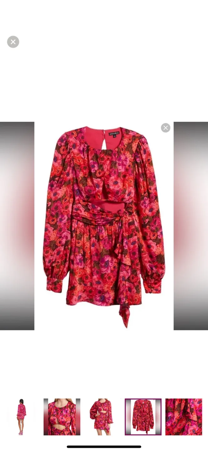 For Love & Lemons Lauren Long Sleeve Cut-Out Mini Dress image indicator(6)