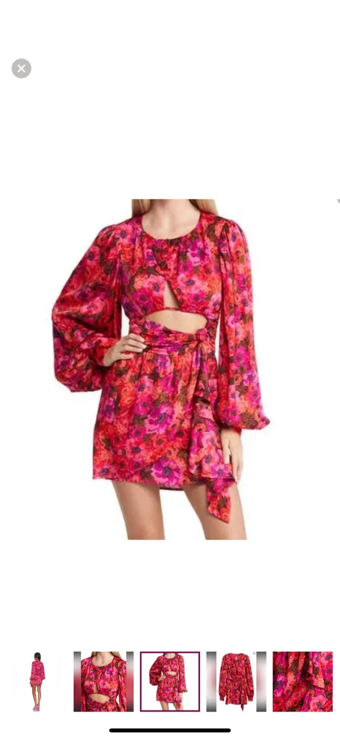 For Love & Lemons Lauren Long Sleeve Cut-Out Mini Dress image indicator(4)