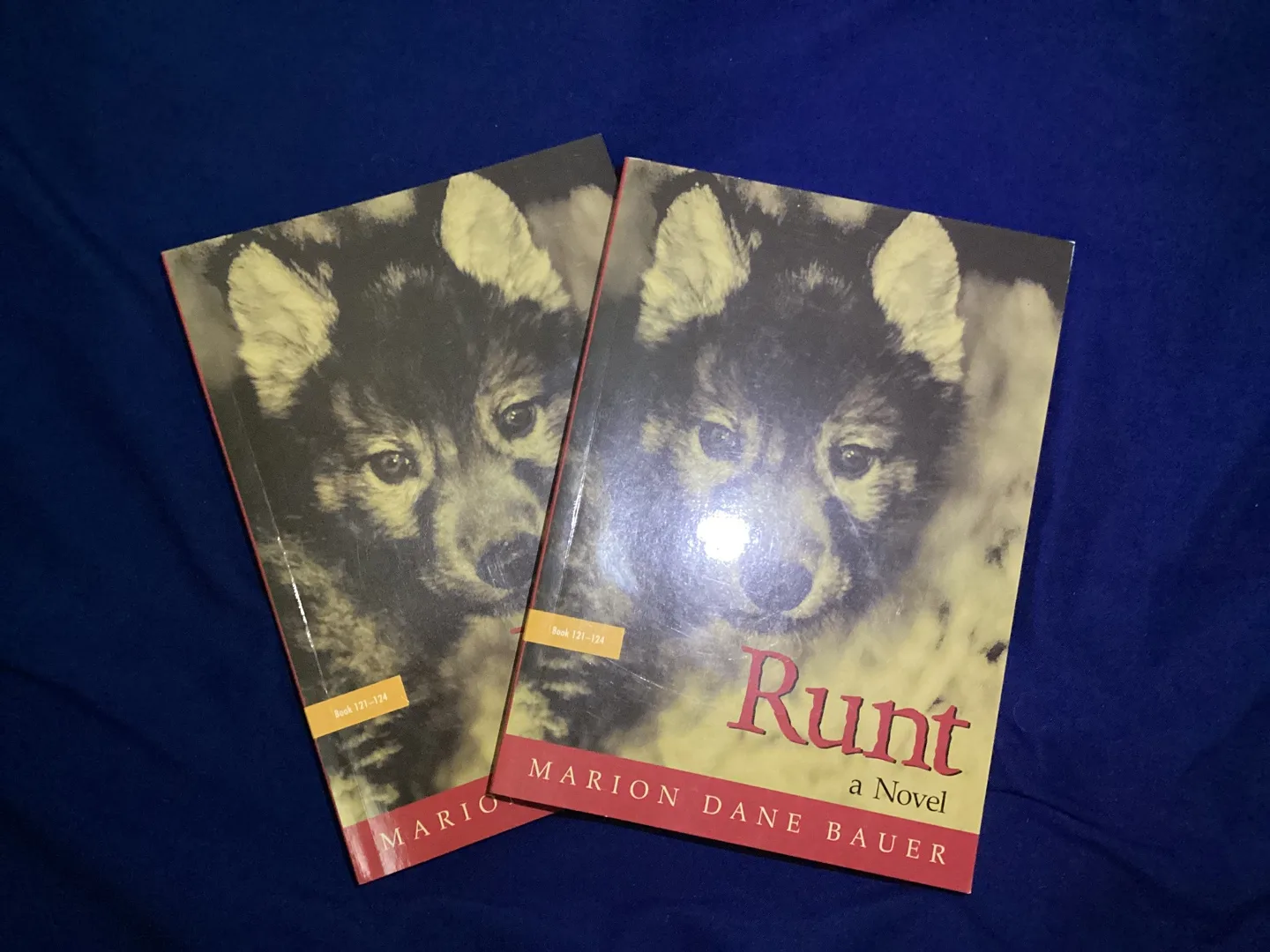 Runt: A Novel by Marion Dane Bauer (2 dollars each) thumbnail