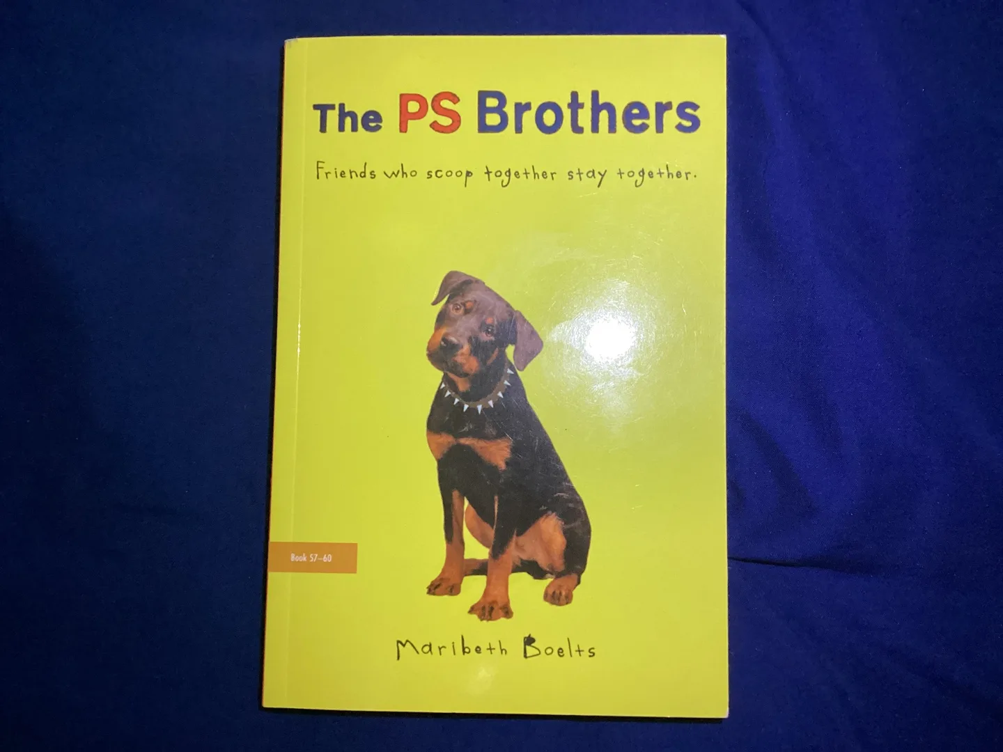 The PS Brothers Book by Maribeth Boelts thumbnail