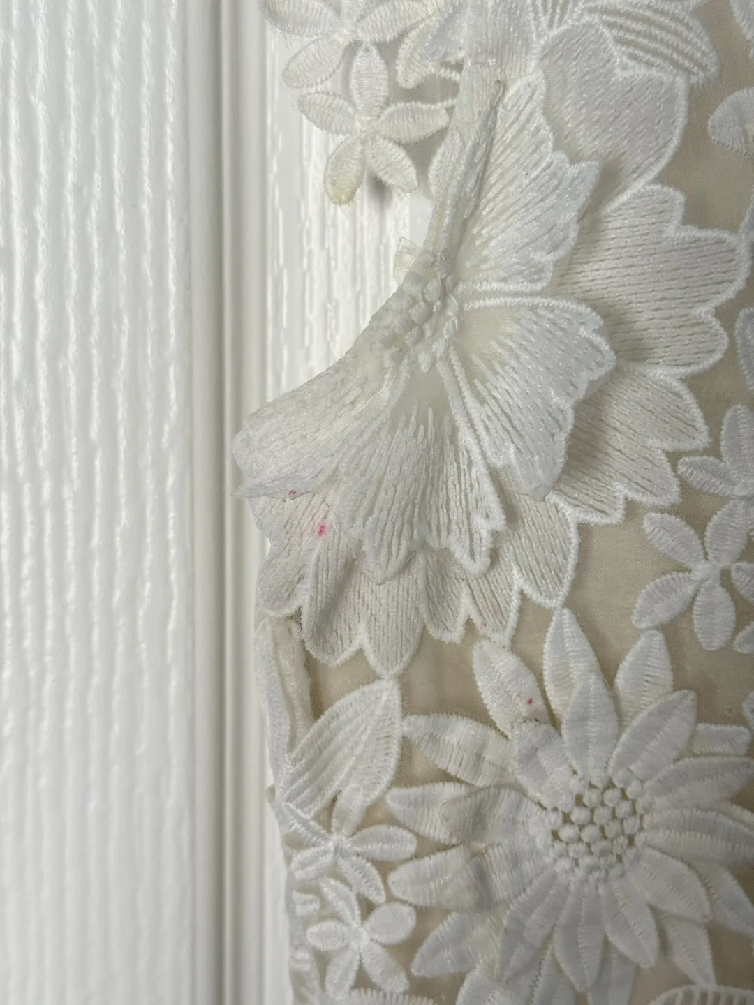 coast White Lace Pleated Dress image indicator(7)