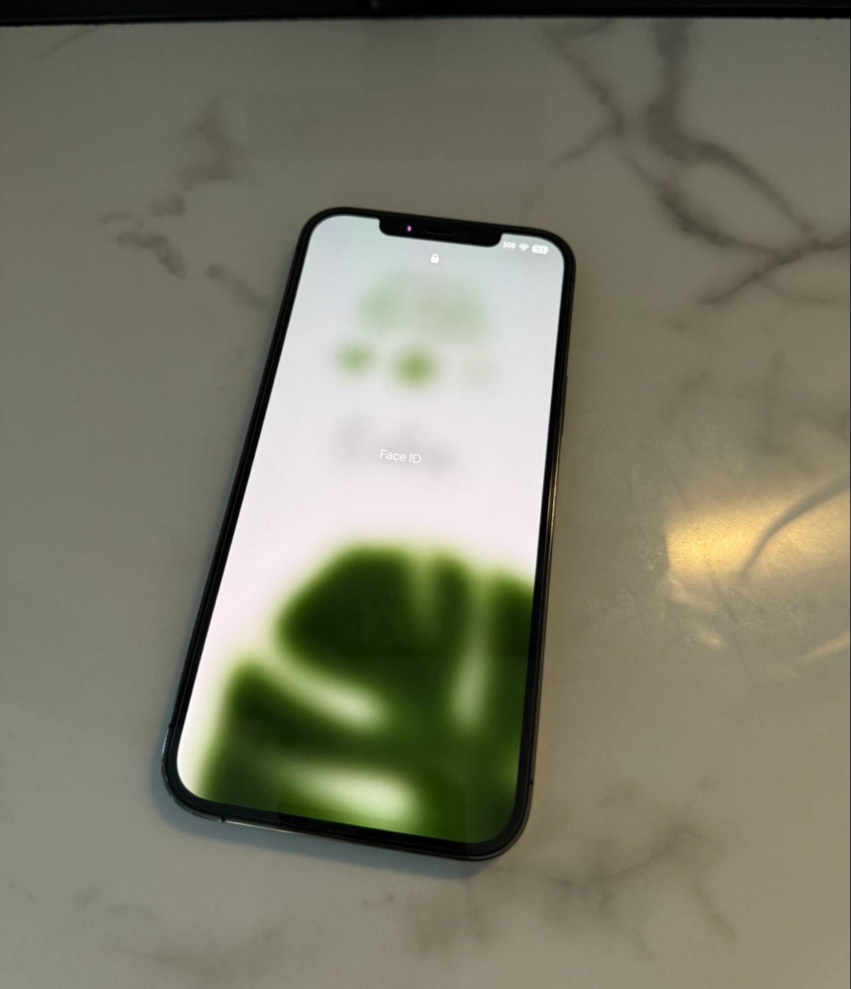 Apple iPhone 12 Pro Max, 256GB, Graphite - Unlocked - photo 3