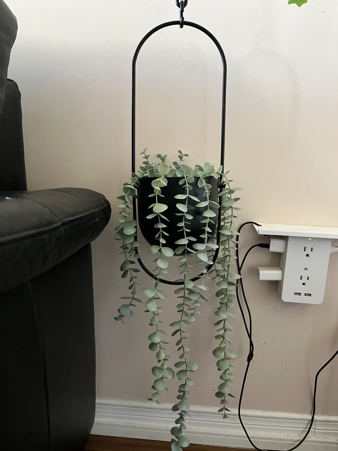 IKEA FEJKA Artificial Potted Hanging Eucalyptus thumbnail