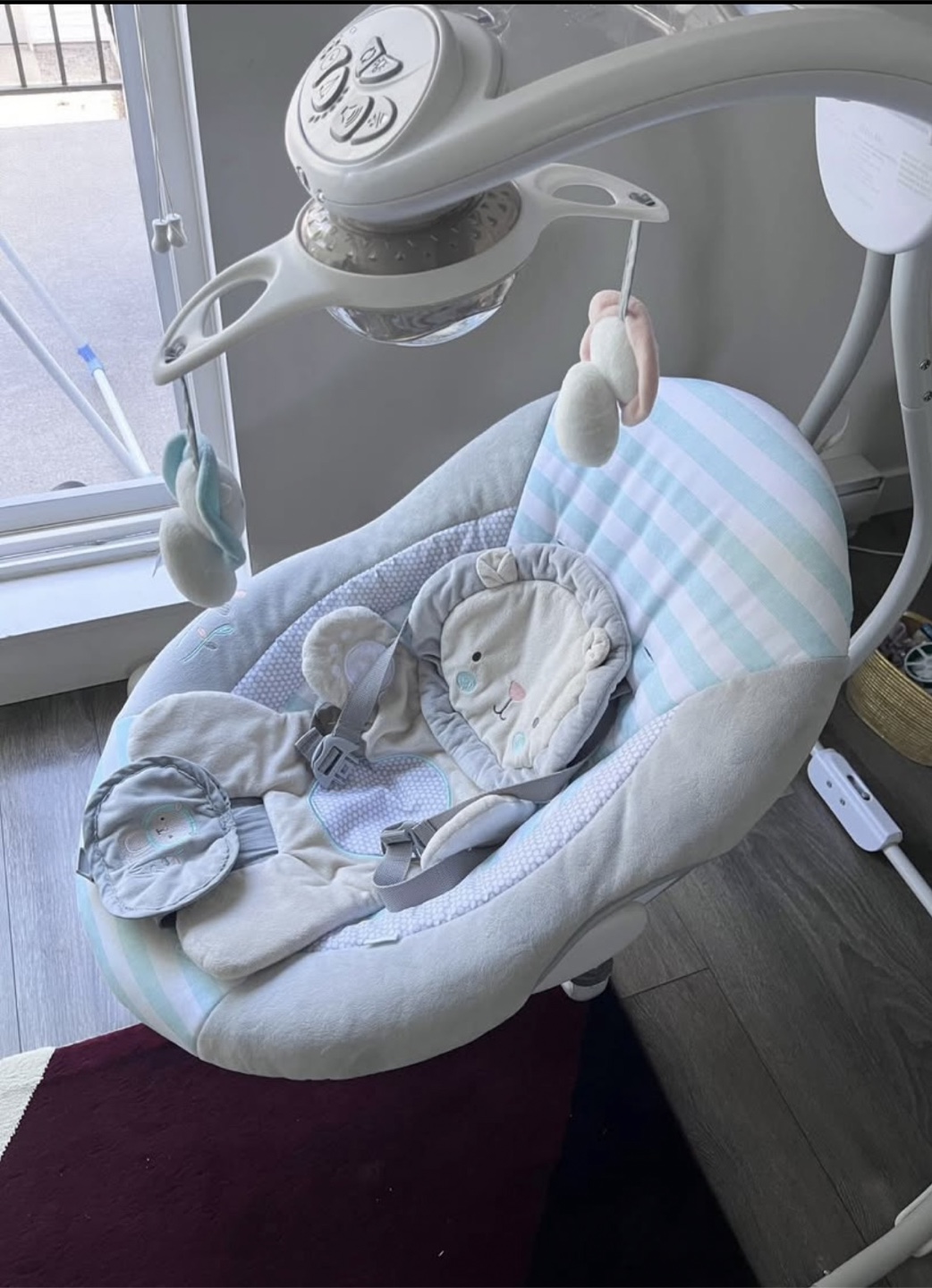 Ingenuity Swing