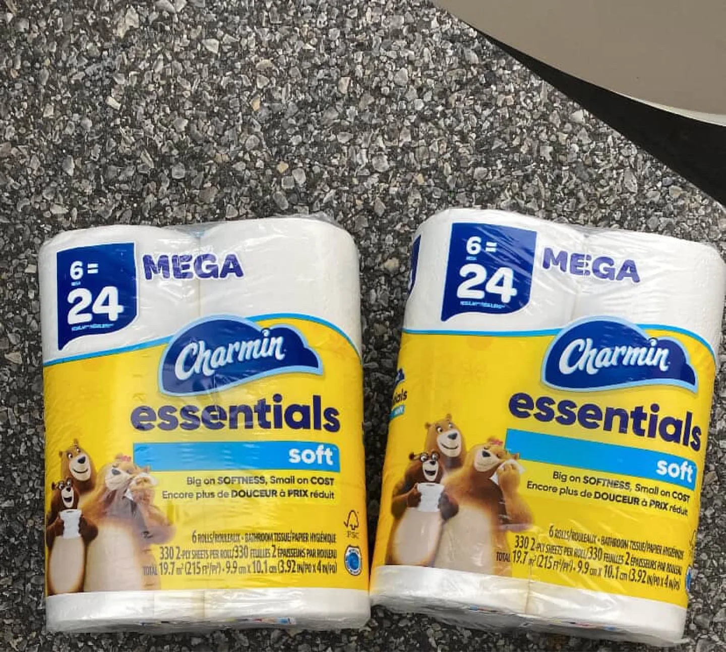 Charmin Essentials Soft Mega Roll (6=24) thumbnail