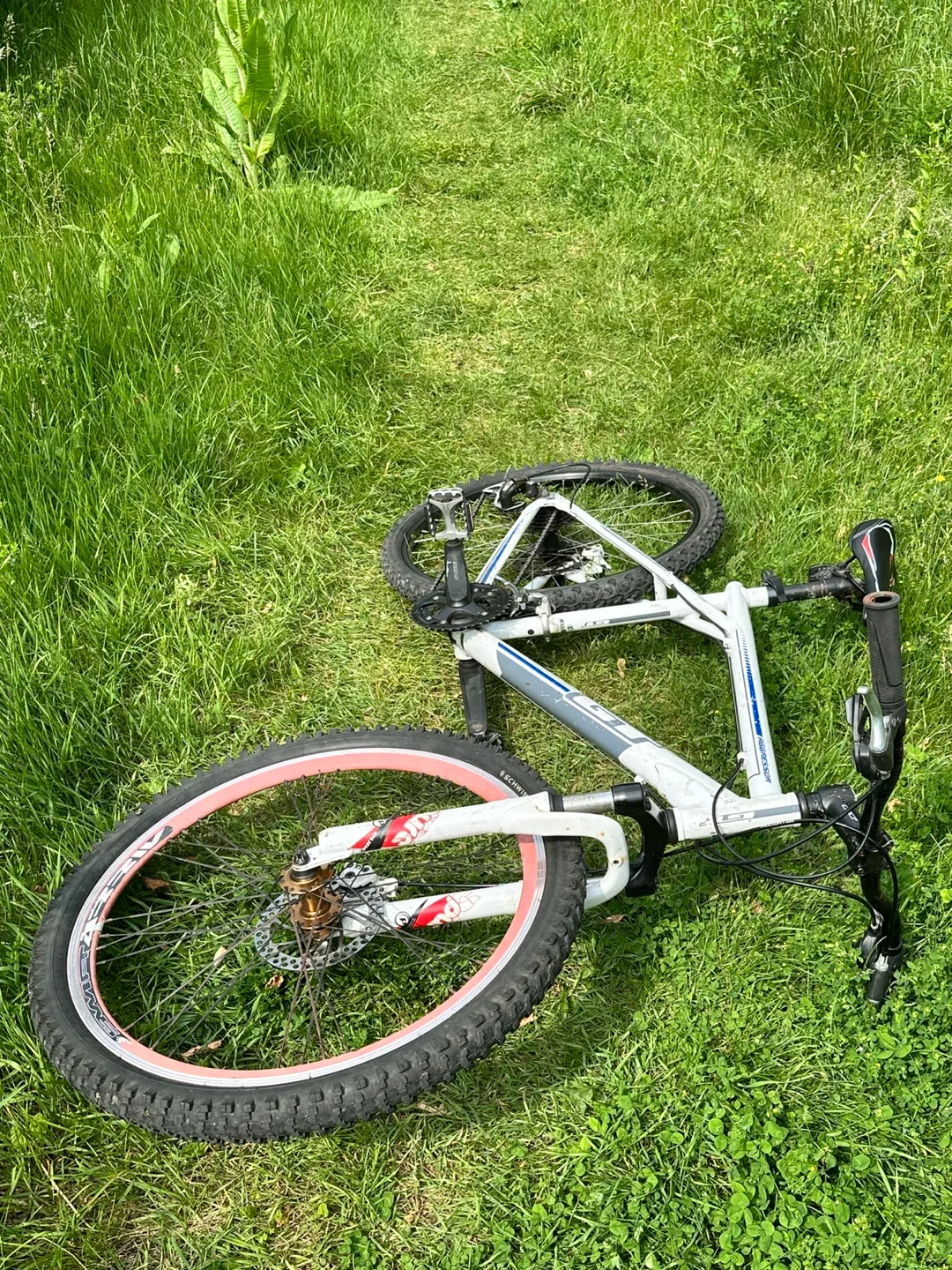 GT Mountain Bike - White/Silver thumbnail