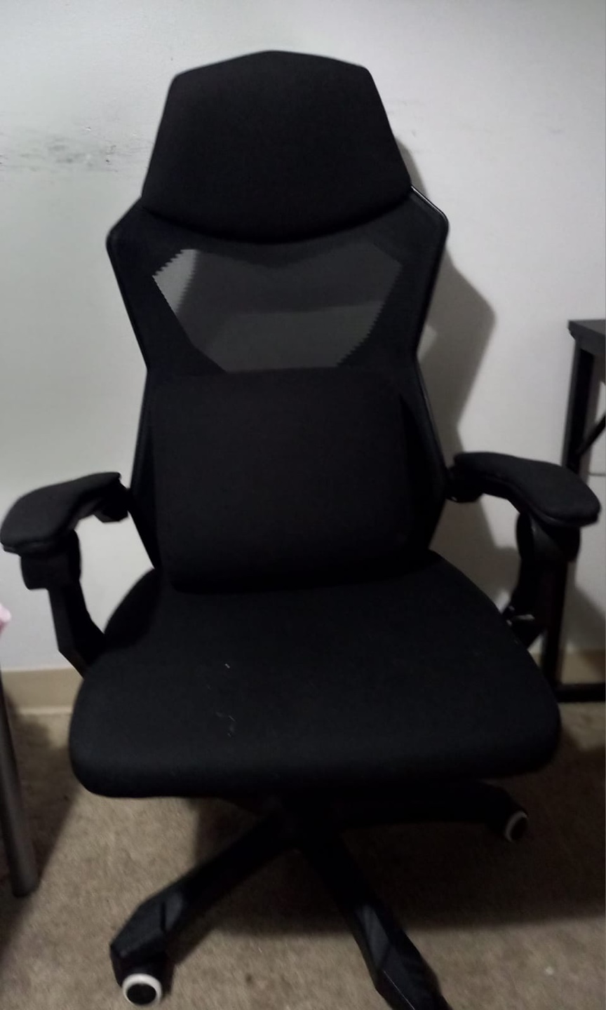 Ergonomic Gaming Chair