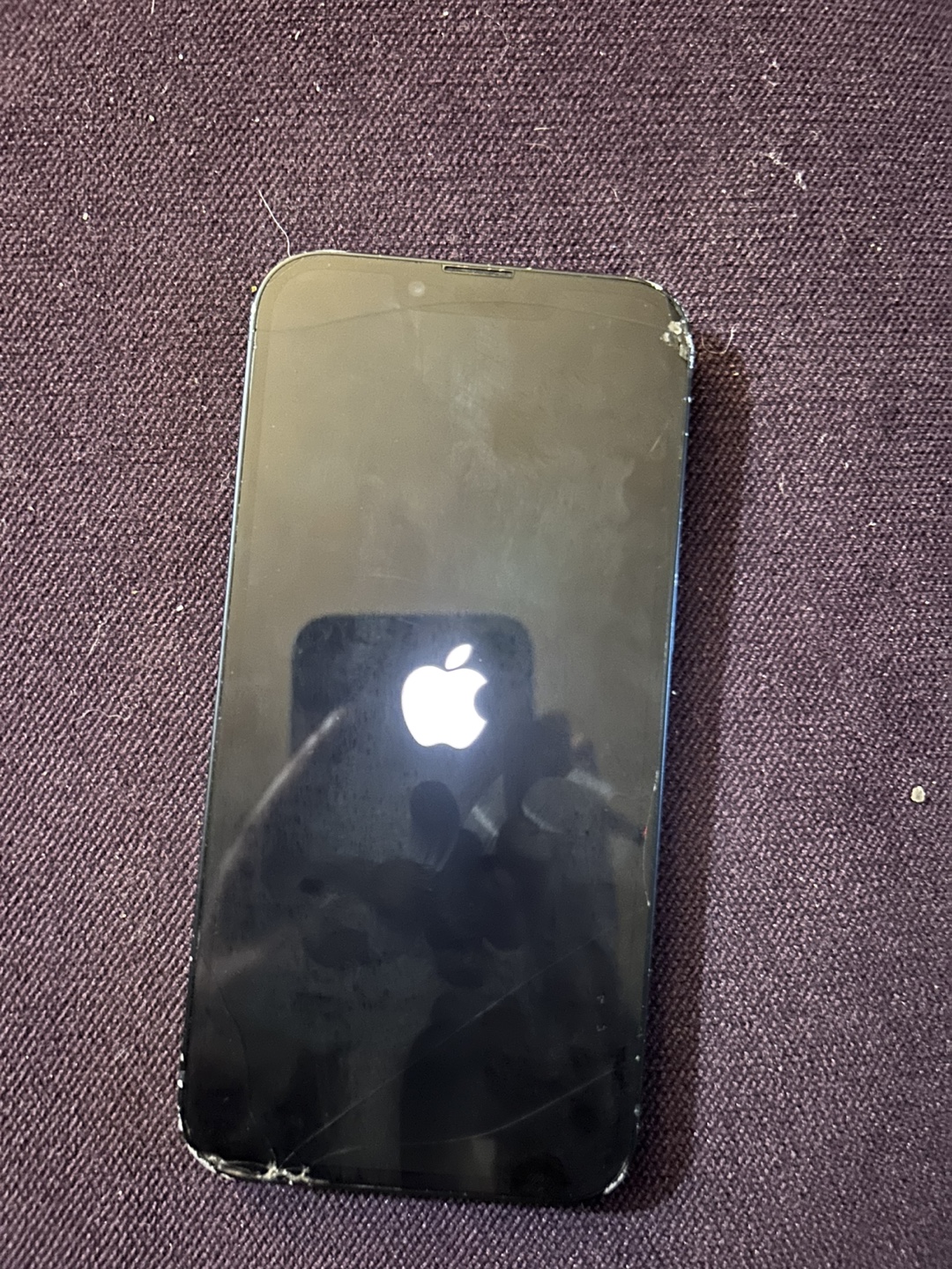 Apple iPhone 13 - photo 2