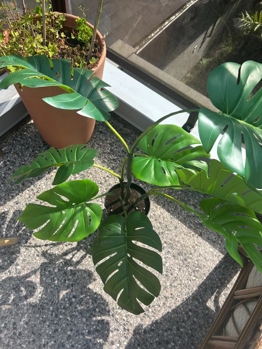 Artificial Monstera Plant thumbnail