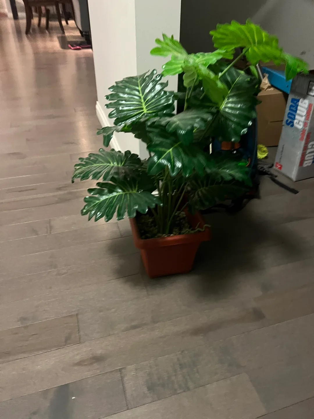 Artificial / silk plant thumbnail