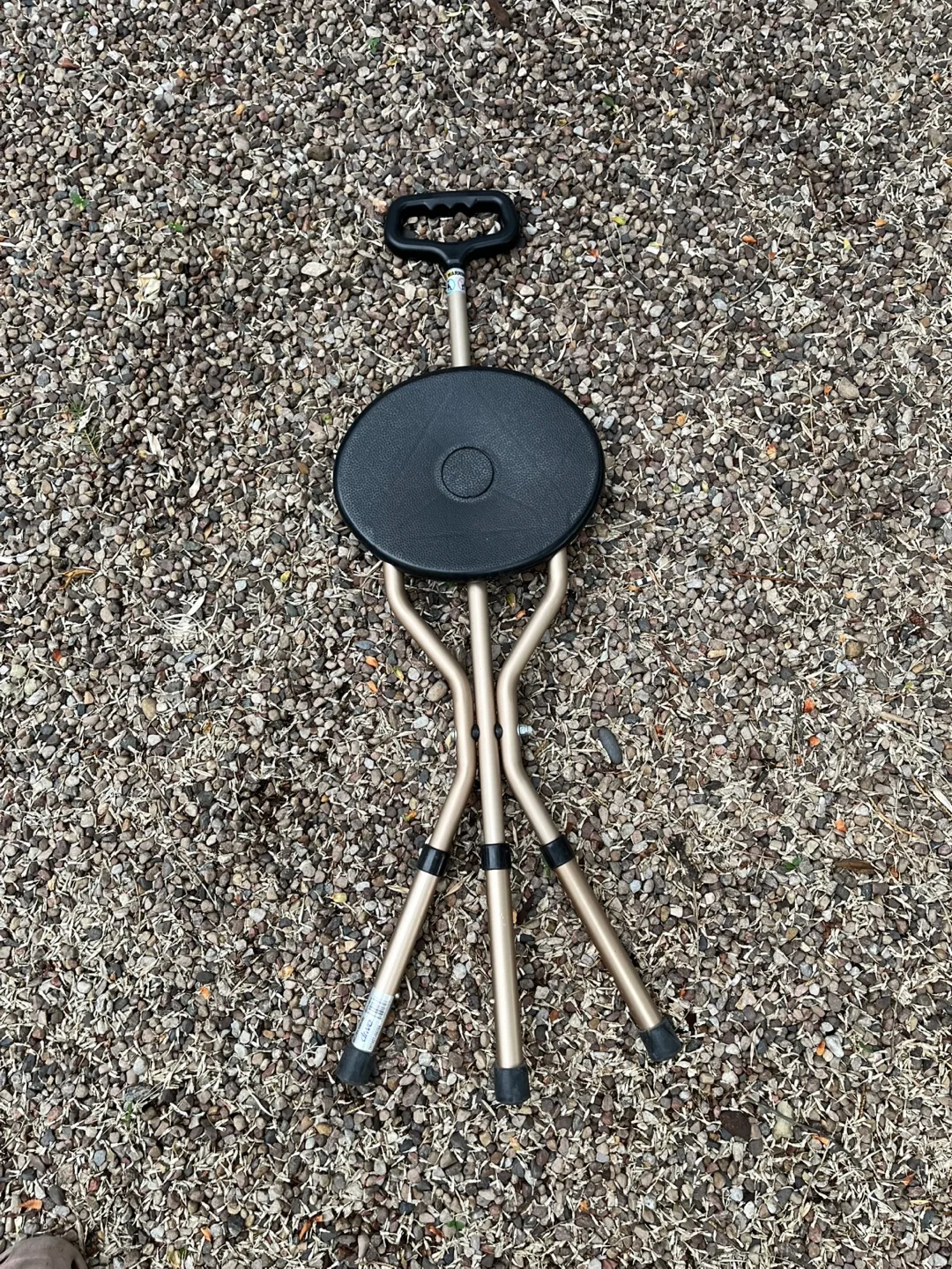 Folding Walking Stick Seat thumbnail