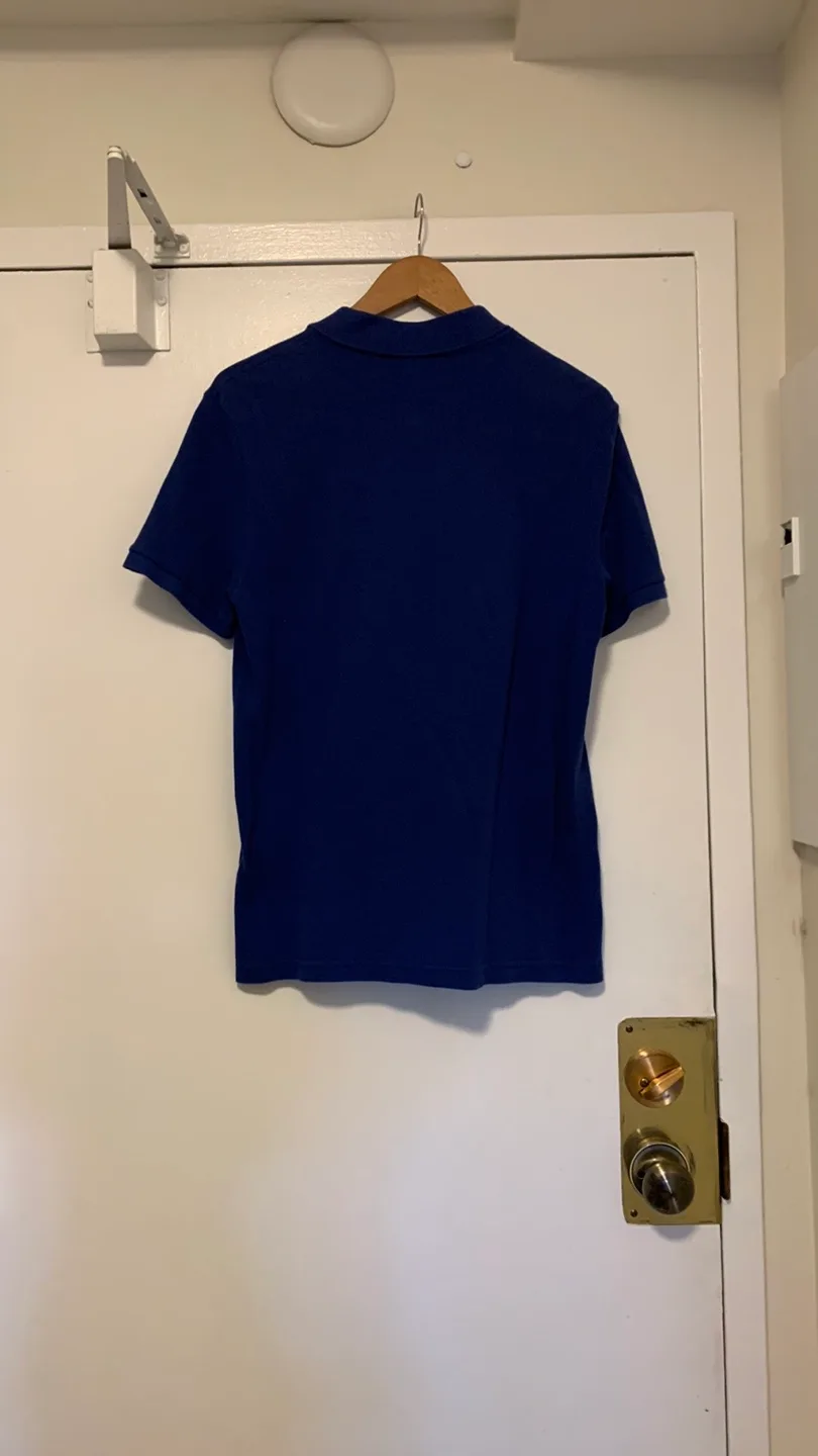 Lacoste polo large image indicator(3)