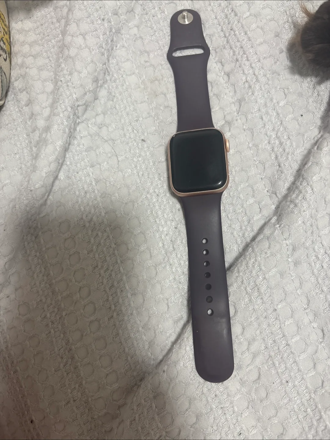 Apple Watch with Plum Band thumbnail