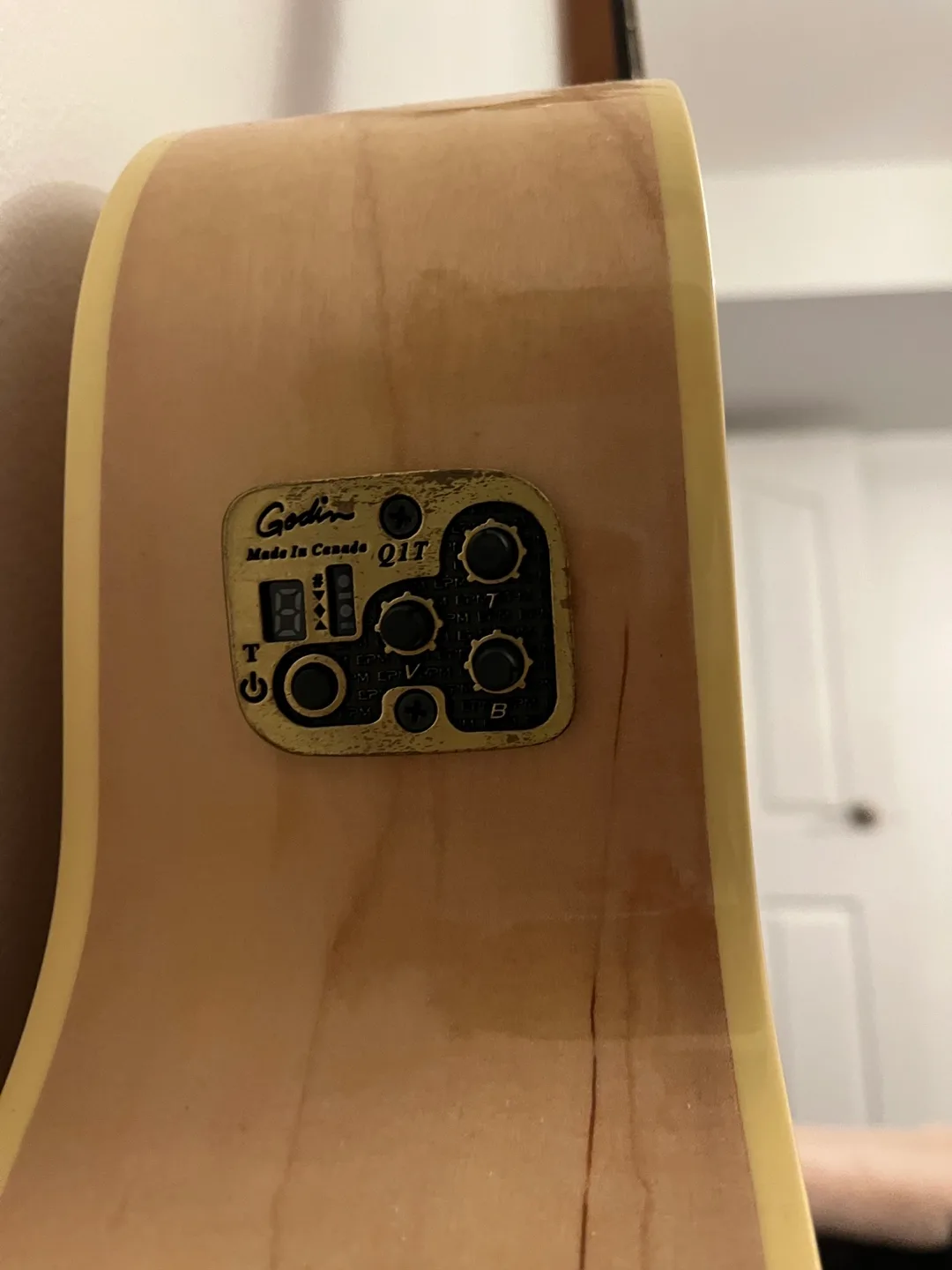 Seagull Acoustic-Electric Guitar + Seagull Gig Bag image indicator(6)