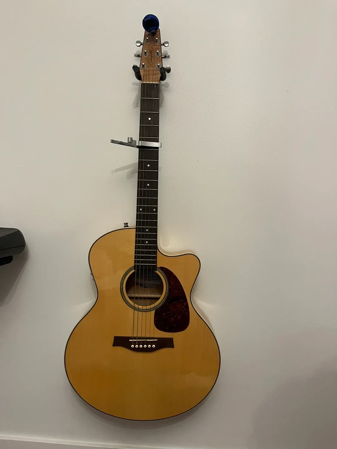 Seagull Acoustic-Electric Guitar + Seagull Gig Bag image indicator(3)