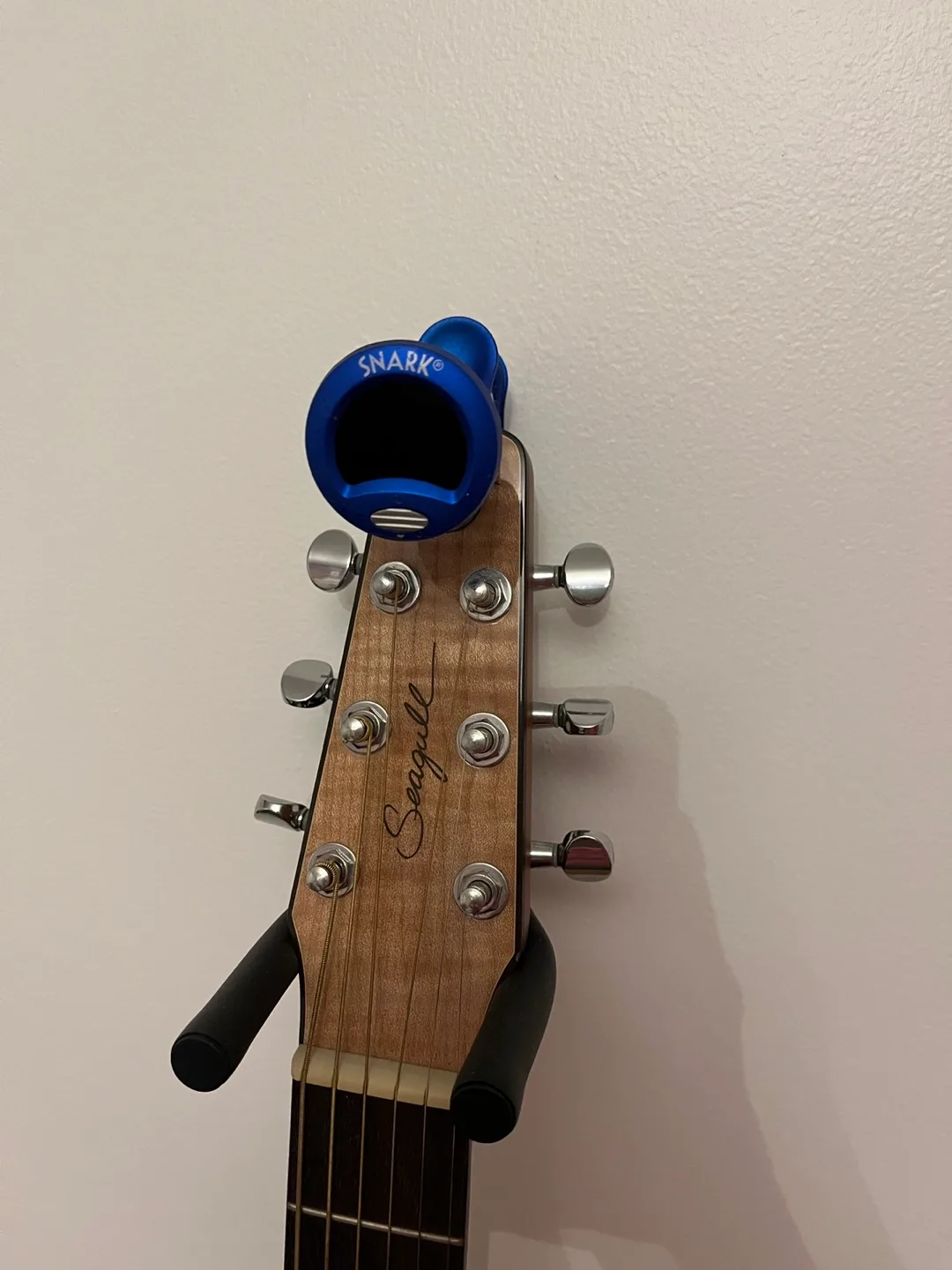 Seagull Acoustic-Electric Guitar + Seagull Gig Bag image indicator(5)