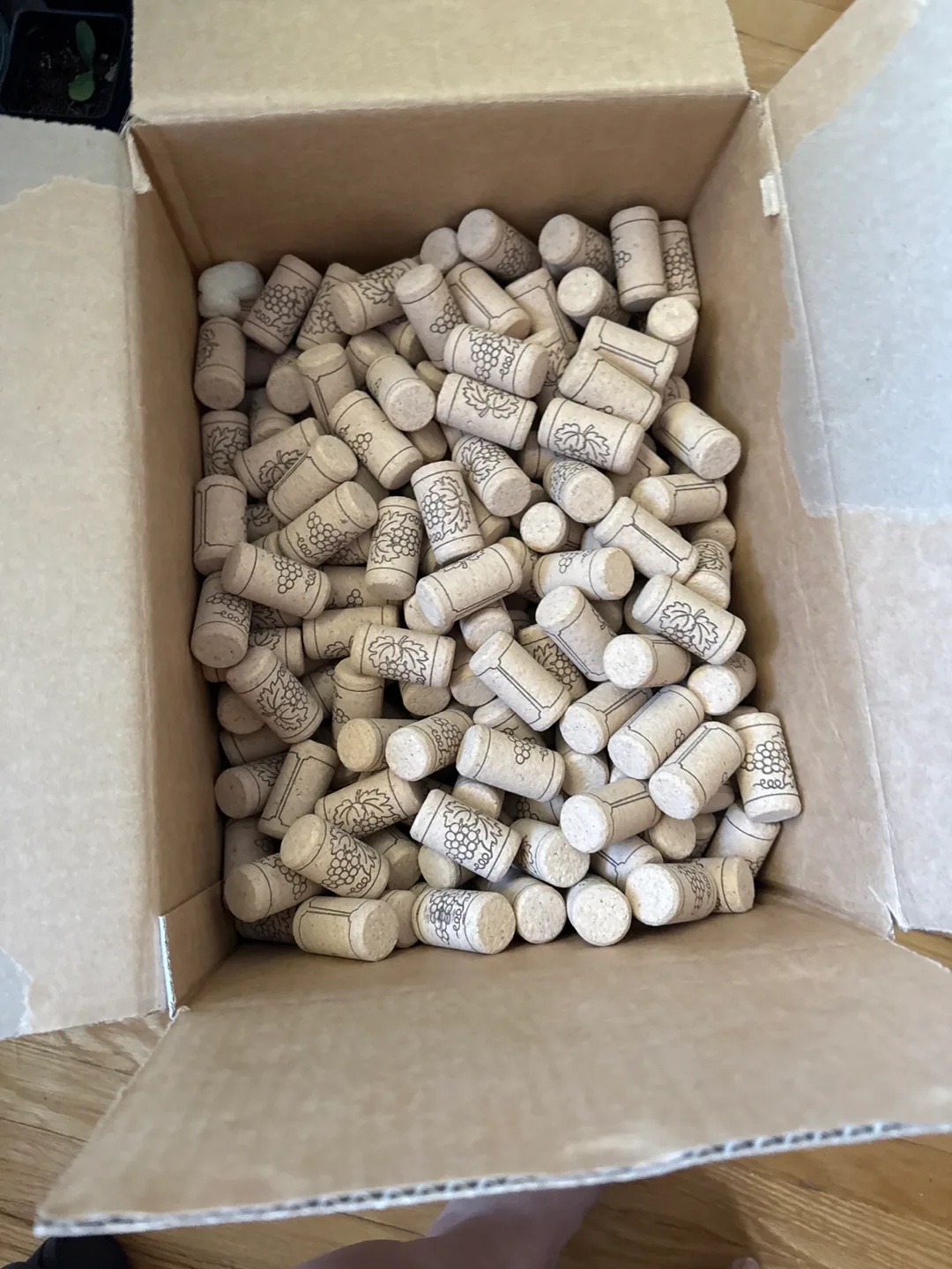 Wine Corks - Box Full thumbnail