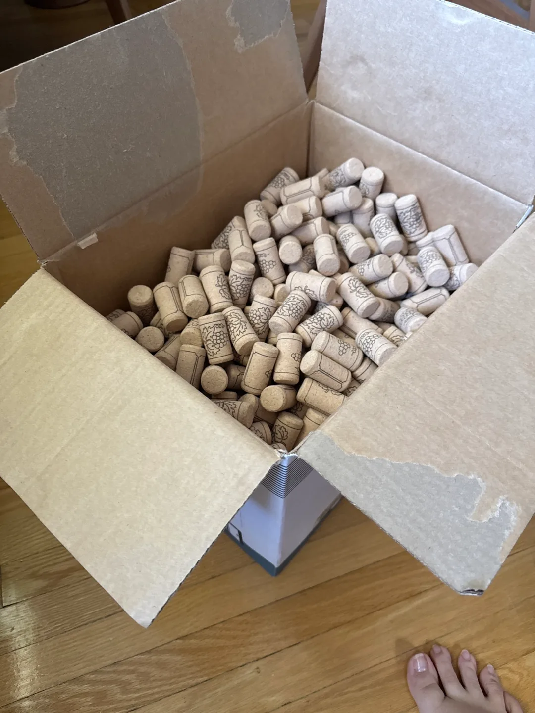 Wine Corks - Box Full image indicator(2)