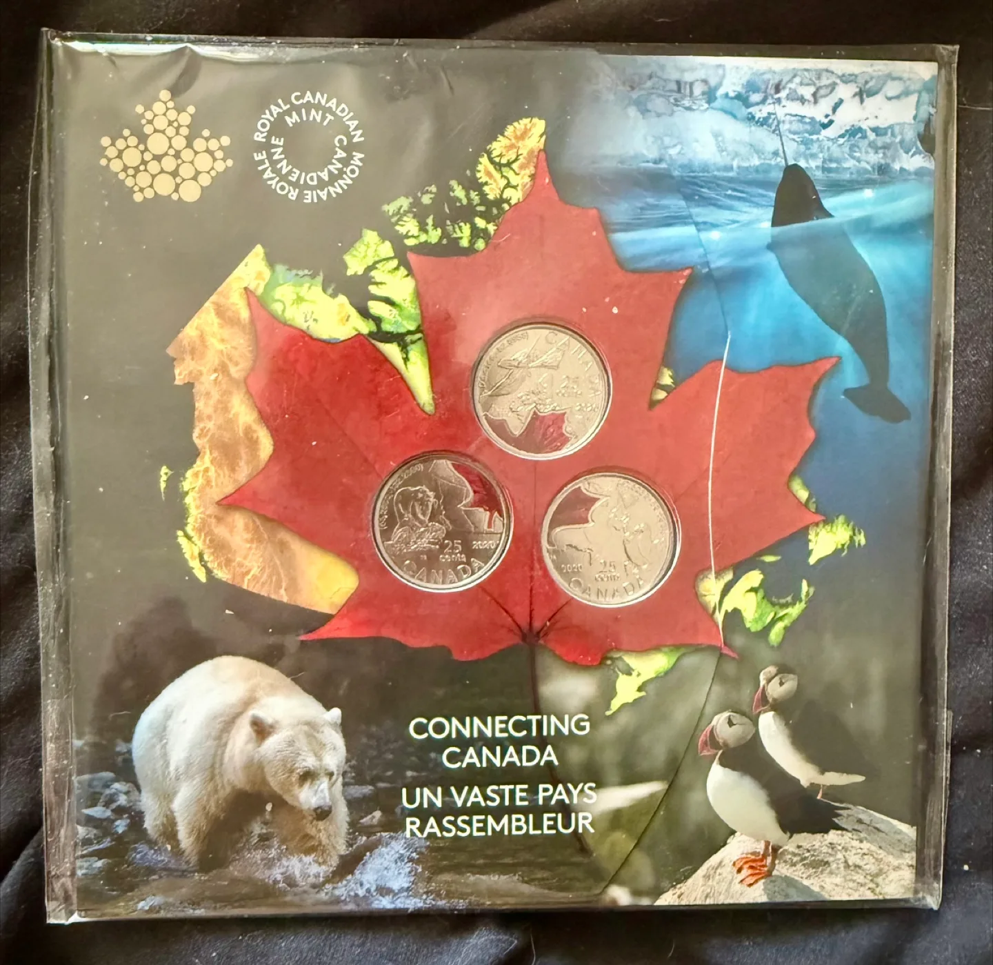 Royal Canadian Mint 2020 25-Cent Coin Set thumbnail