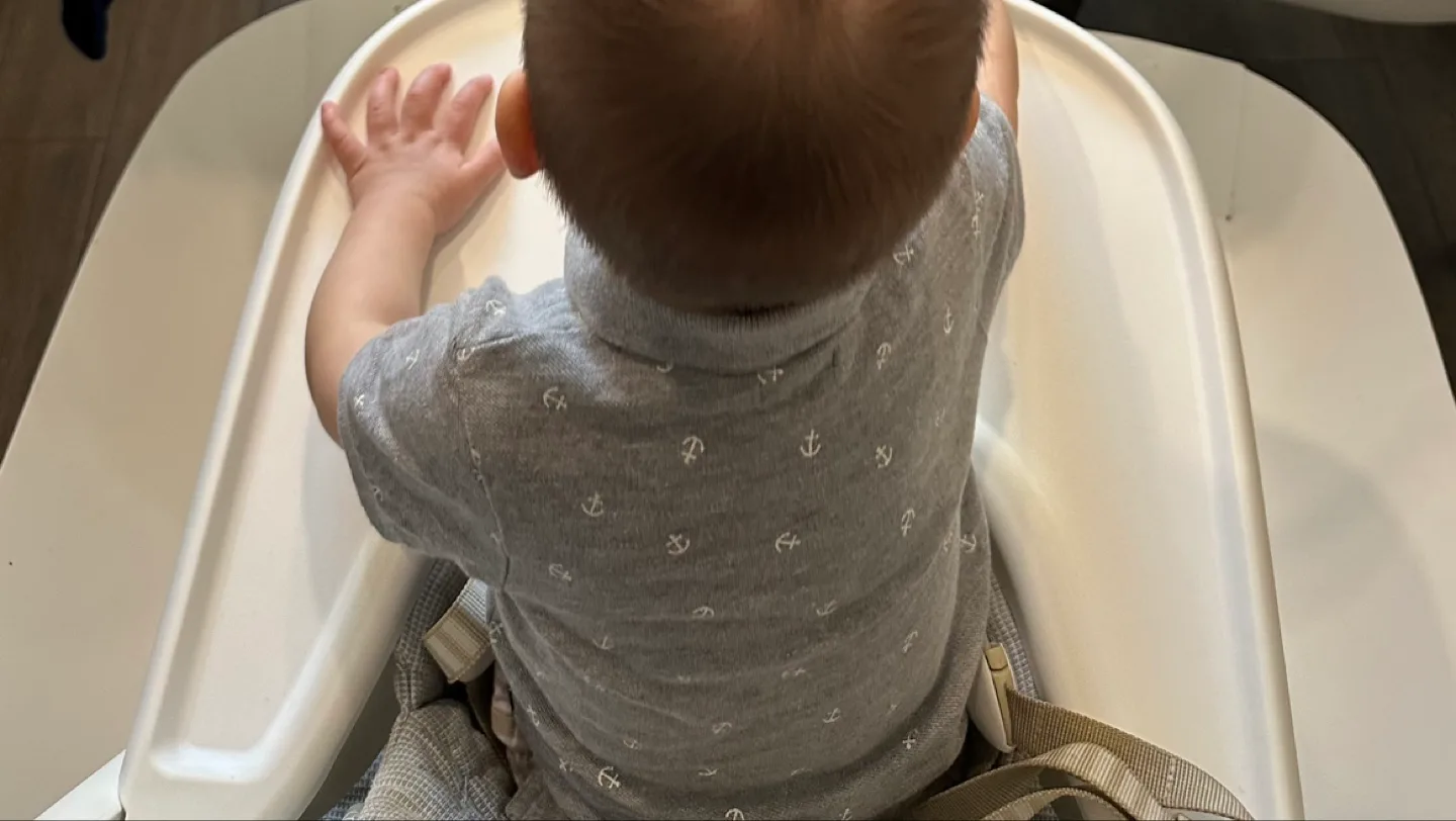 🇨🇦 High Chair Catchy image indicator(2)