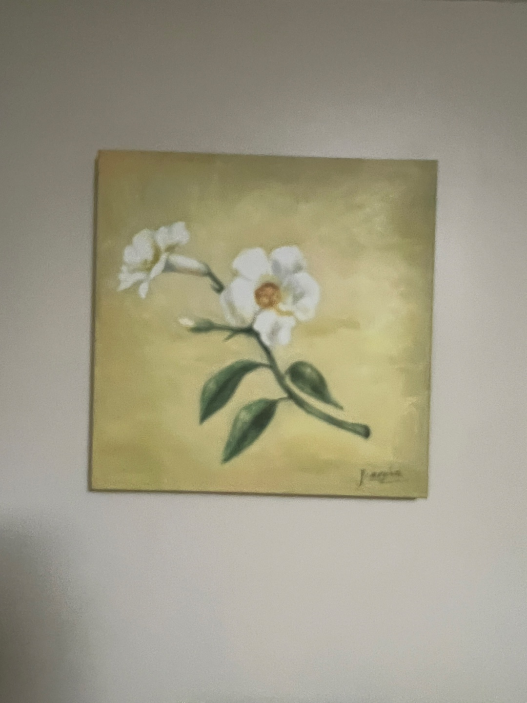 Pictures - photo 2