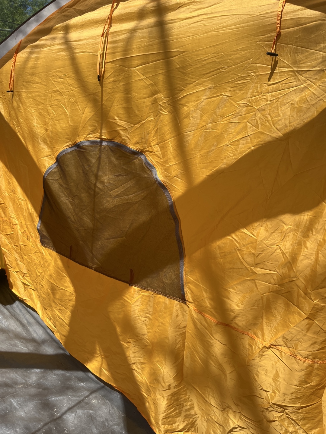 Coleman 10 Person Tent - photo 3