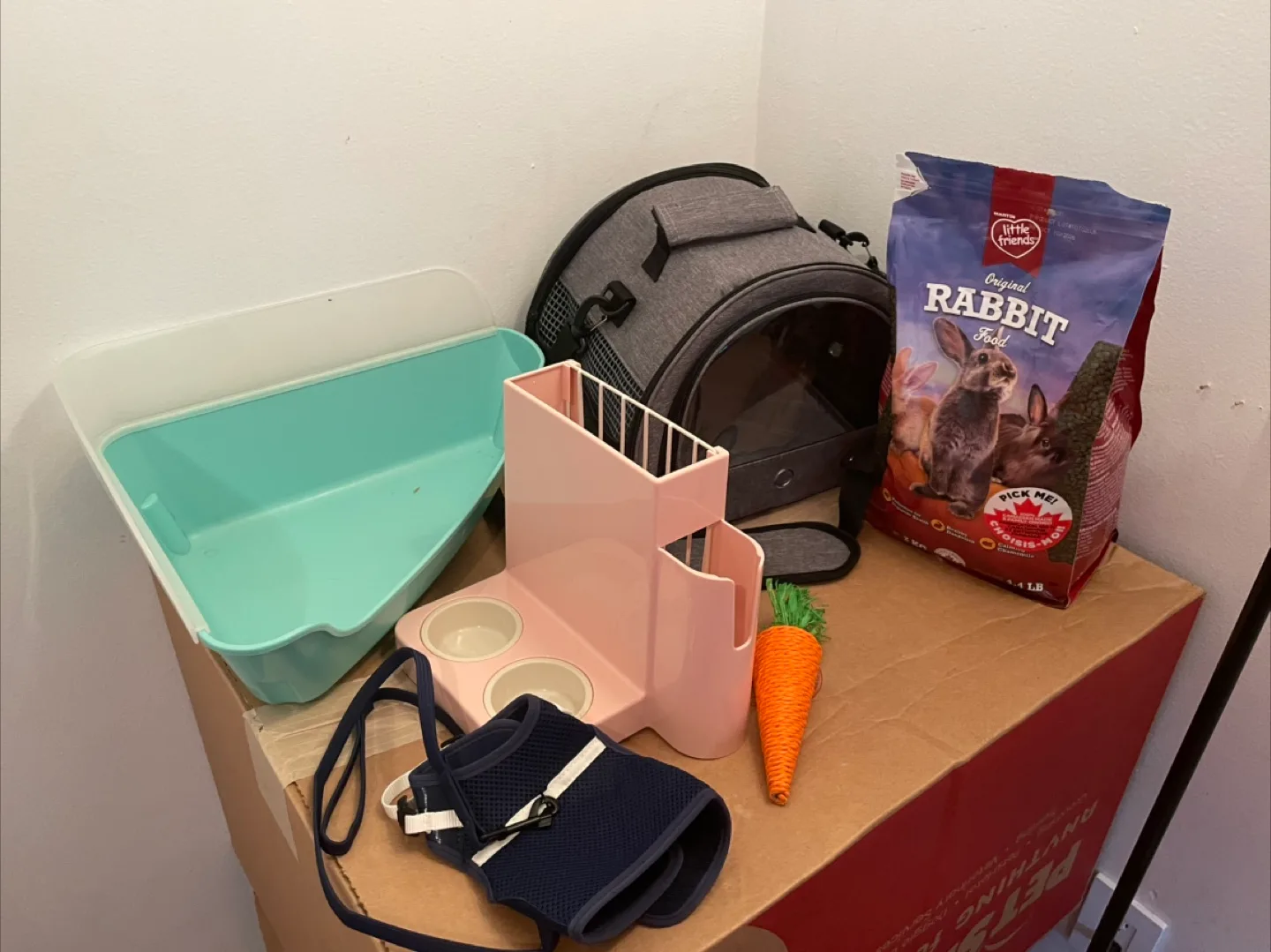 Dwarf Rabbit Supplies Lot thumbnail