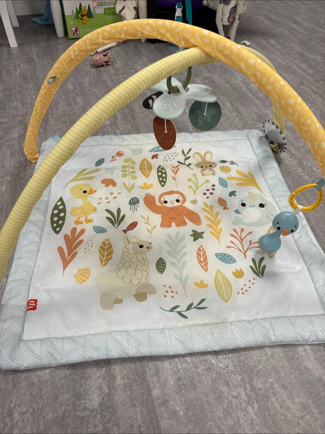 Fisher-Price Baby Activity Gym image indicator(2)