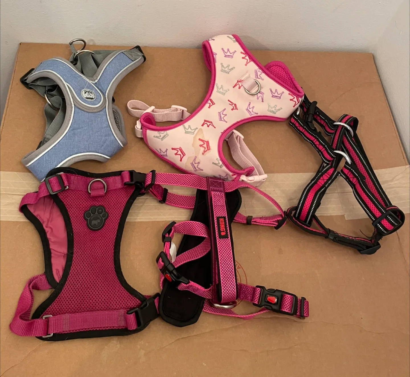 Medium Dog Harnesses Lot thumbnail