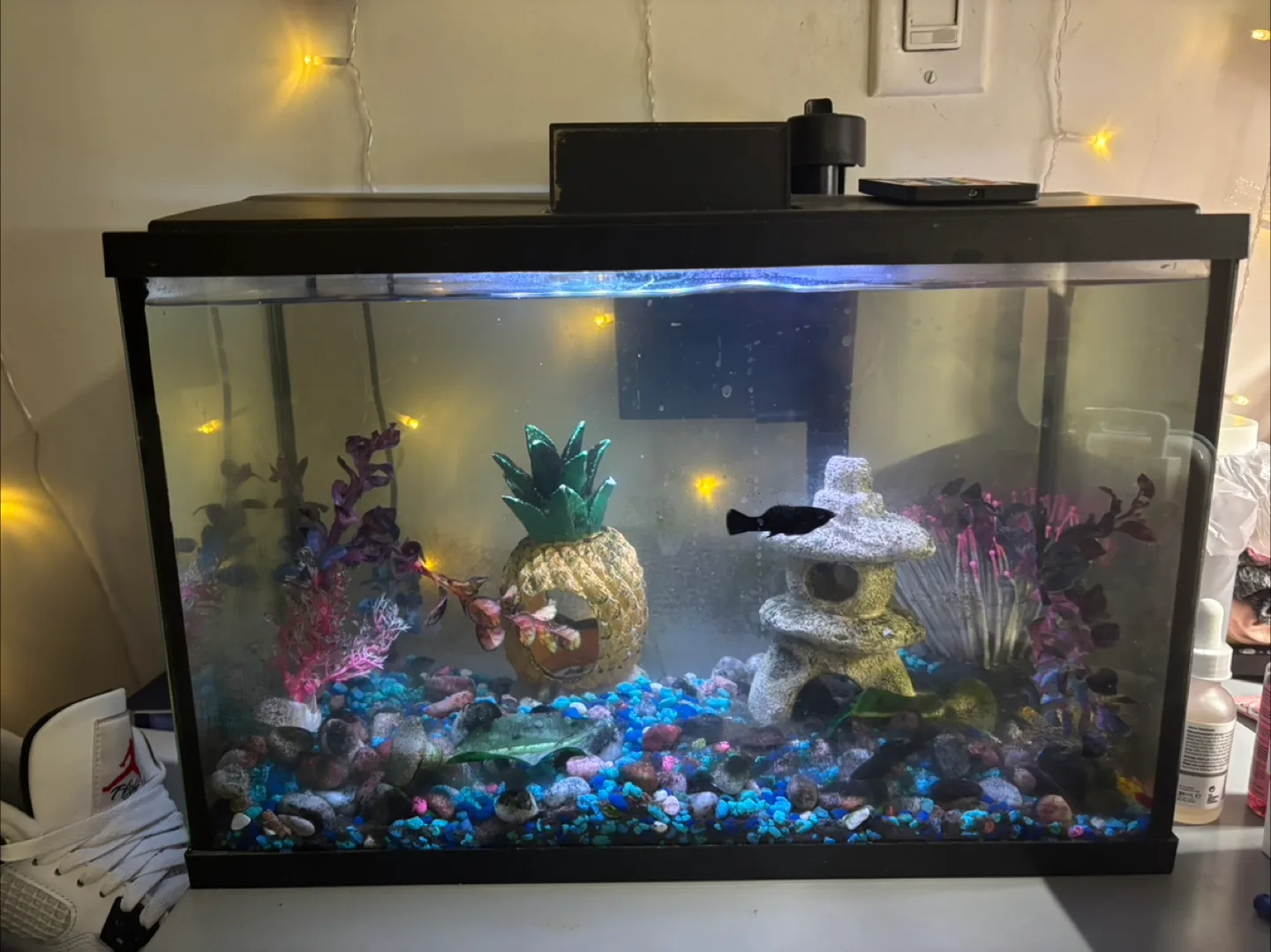 Aquarium Fish Tank Accessories image indicator(9)