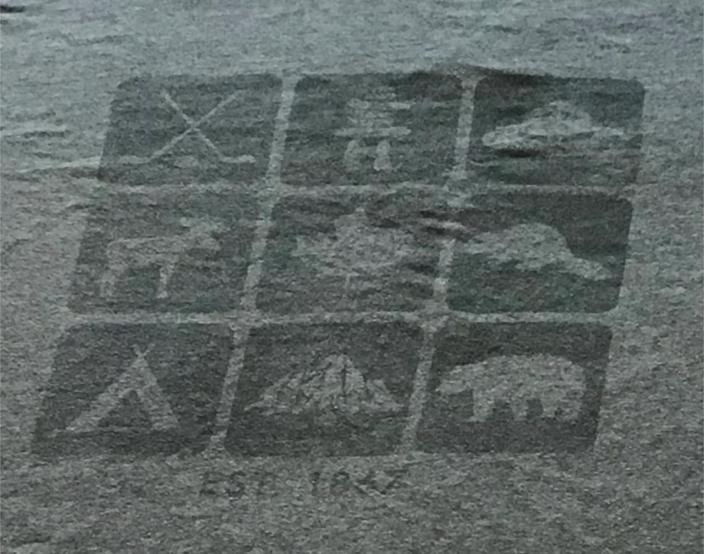 🤩 Canadiana T-Shirt - Grey XL image indicator(2)