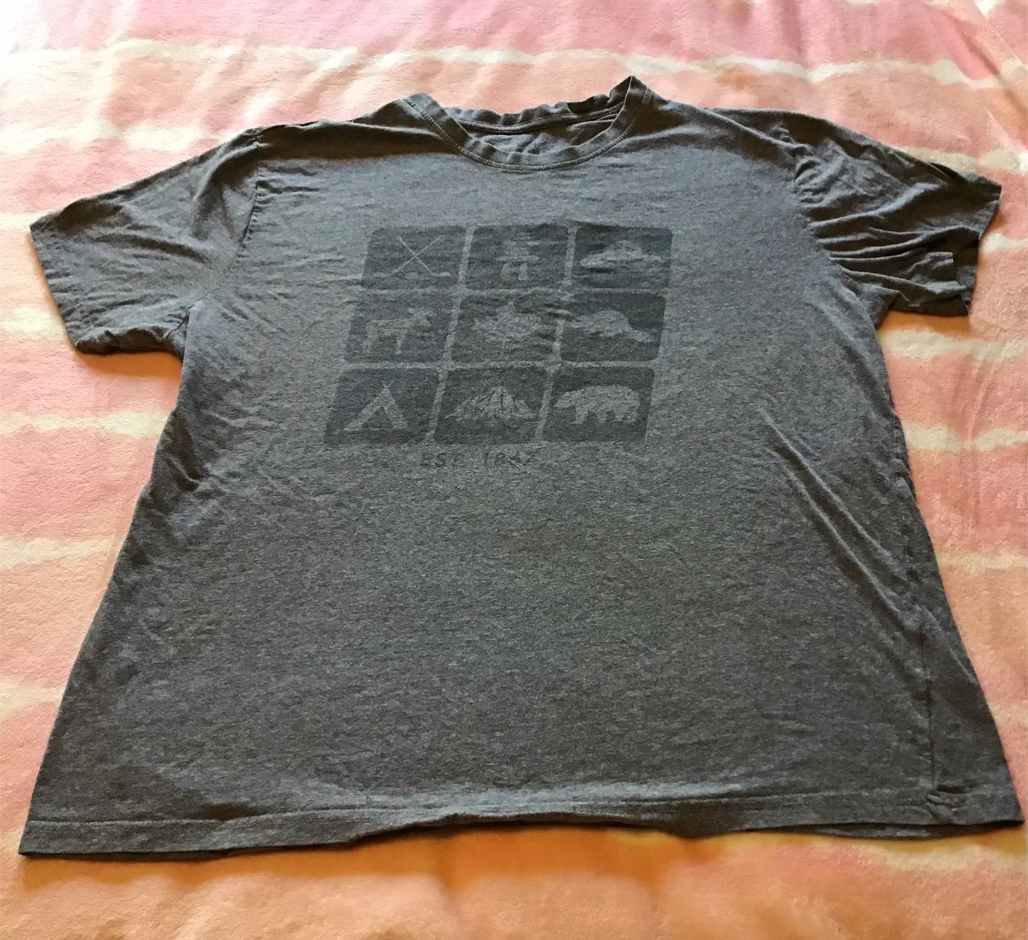 🤩 Canadiana T-Shirt - Grey XL thumbnail