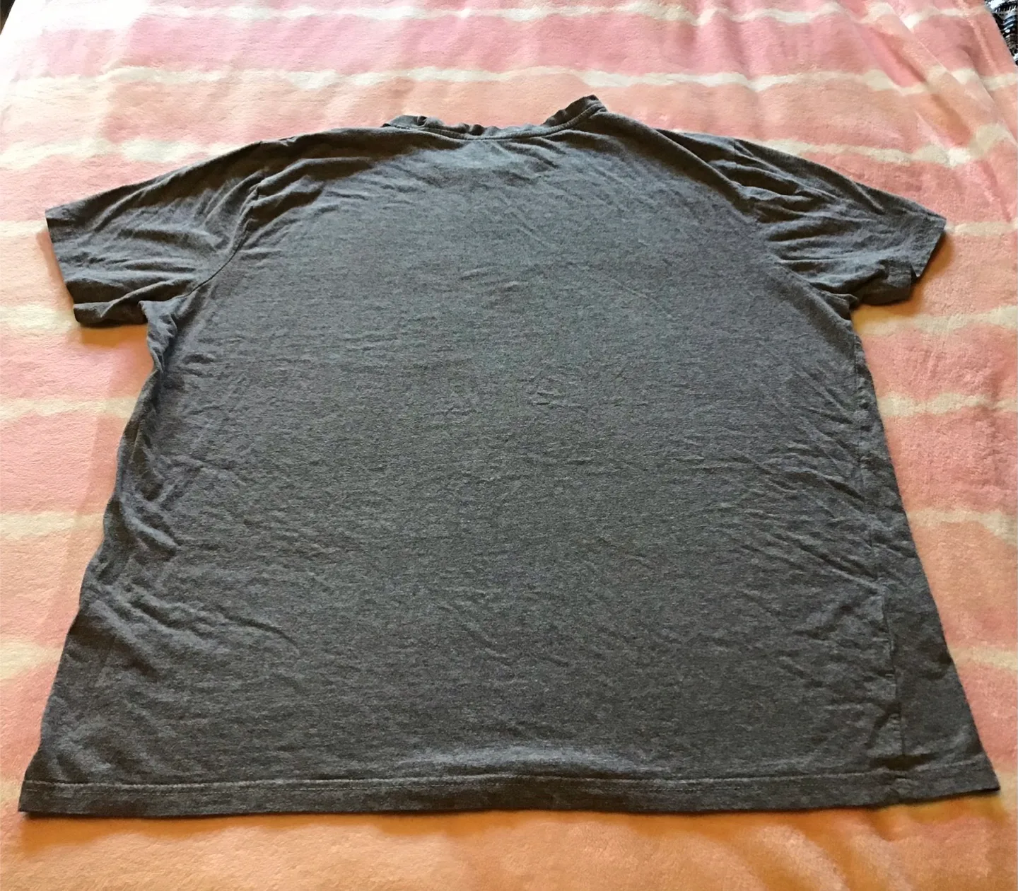 🤩 Canadiana T-Shirt - Grey XL image indicator(3)