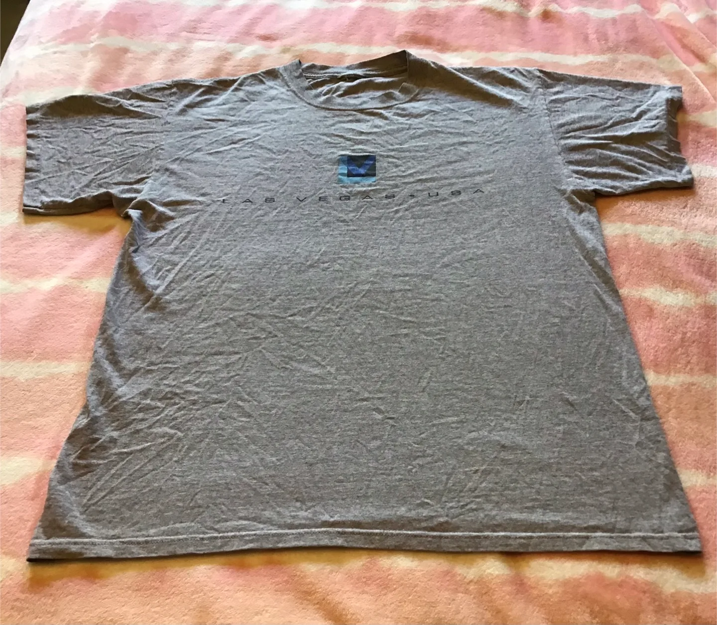 🤩 Las Vegas USA Grey T-Shirt thumbnail