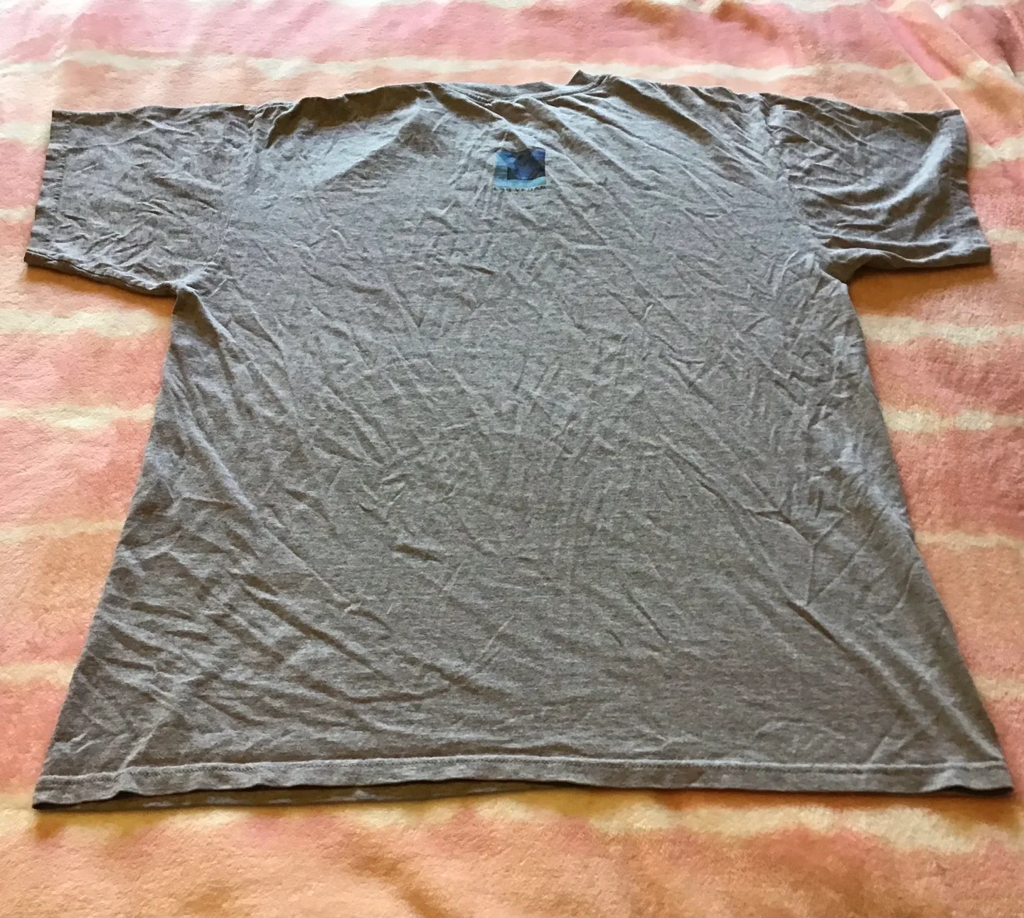 🤩 Las Vegas USA Grey T-Shirt image indicator(3)