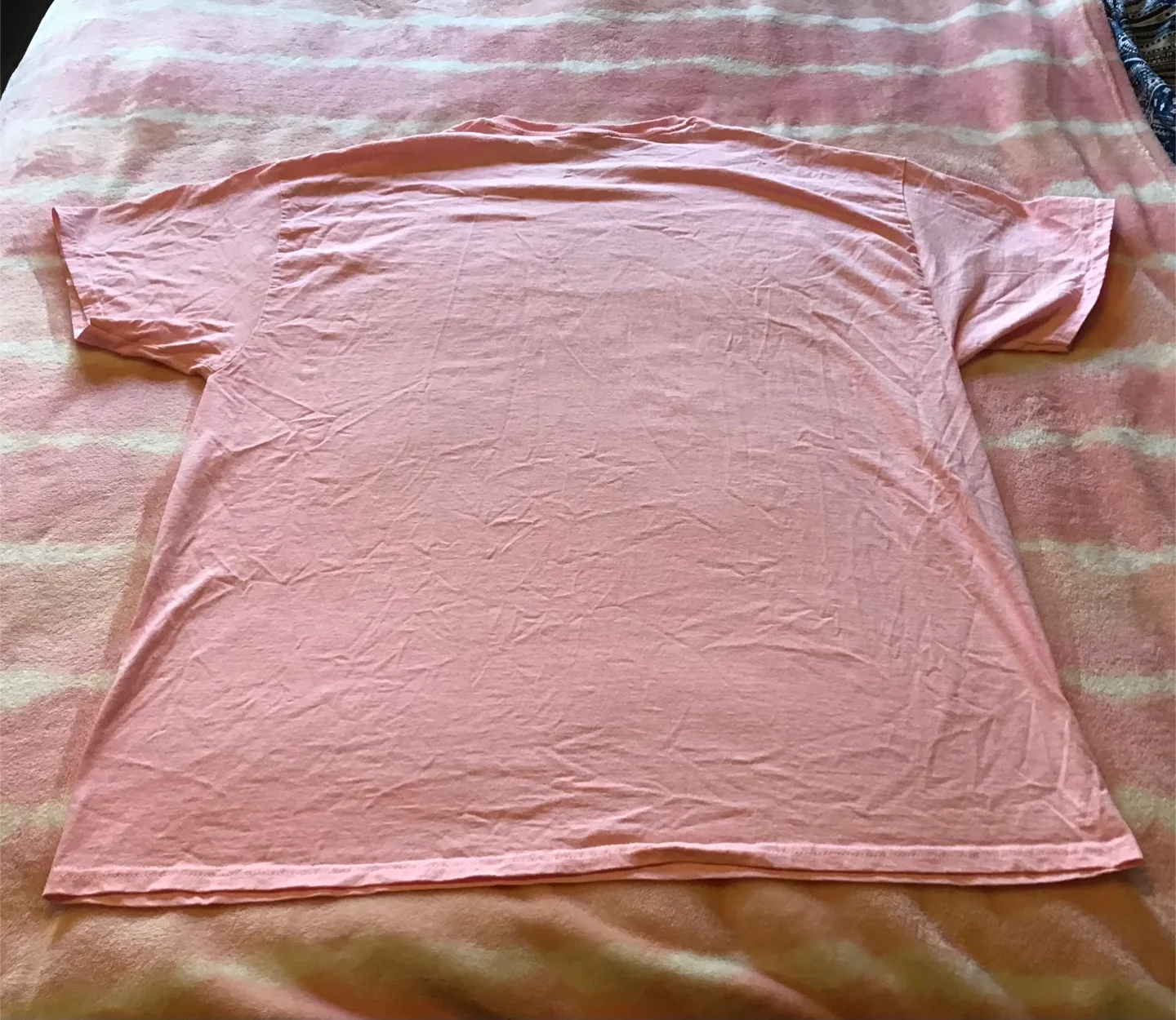 🤩 Bricks in the Six T-shirt image indicator(3)