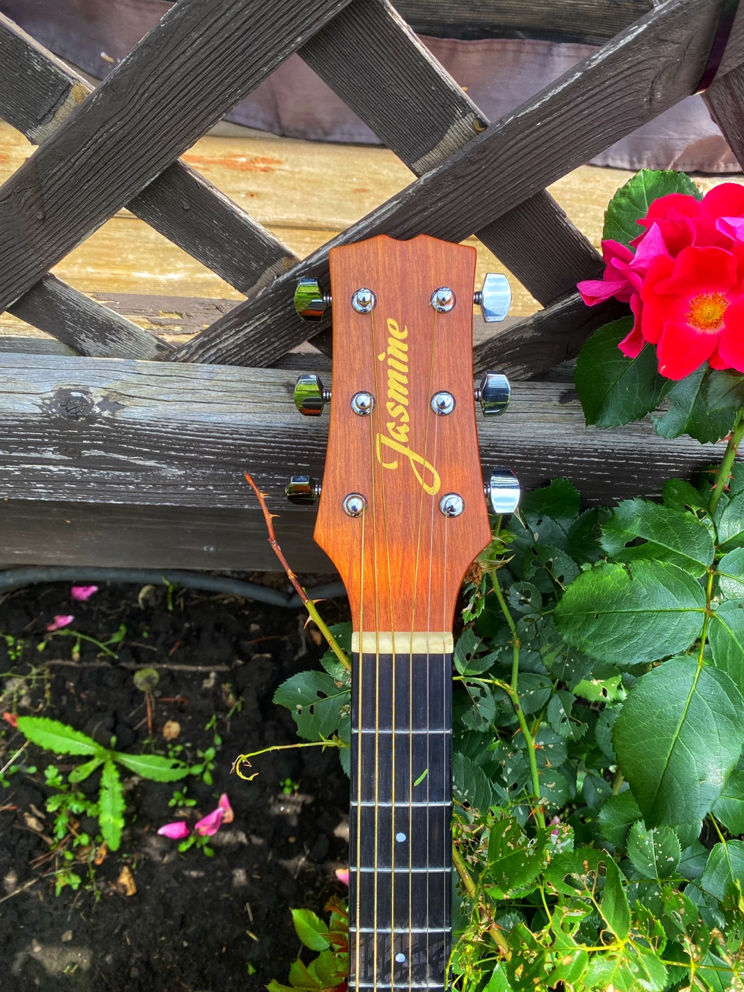 Jasmine LN32S Full-Size Acoustic Guitar + Picks - photo 3