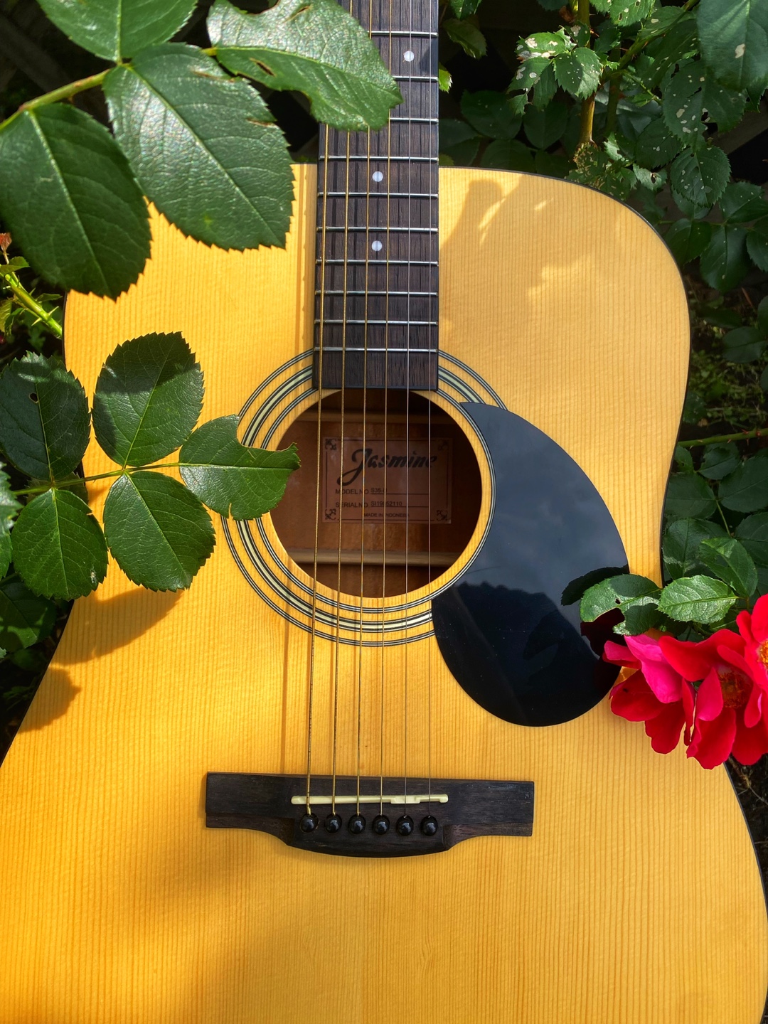 Jasmine LN32S Full-Size Acoustic Guitar + Picks - photo 2
