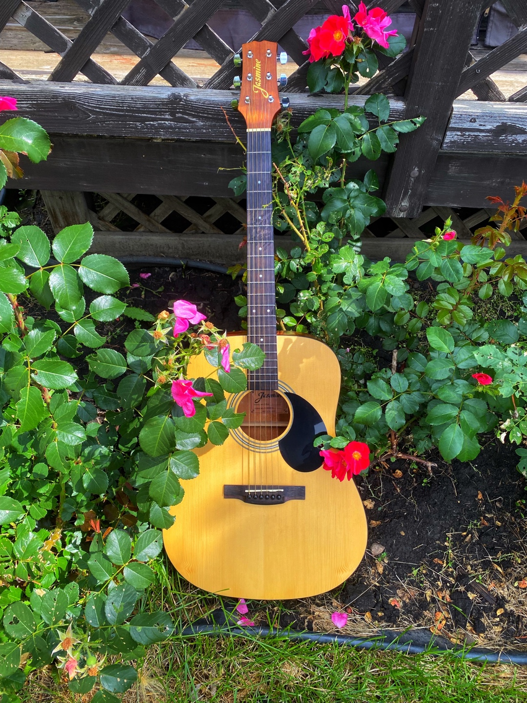 Jasmine LN32S Full-Size Acoustic Guitar + Picks