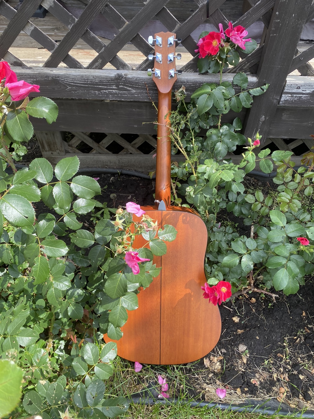 Jasmine LN32S Full-Size Acoustic Guitar + Picks - photo 4