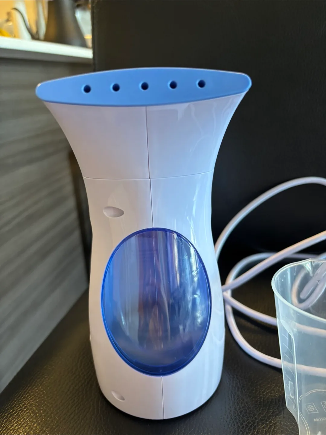 Handheld Garment Steamer image indicator(3)