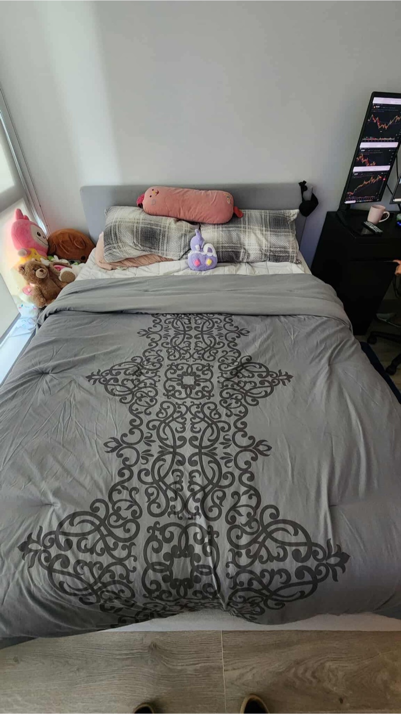 Queen bedframe and Mattress