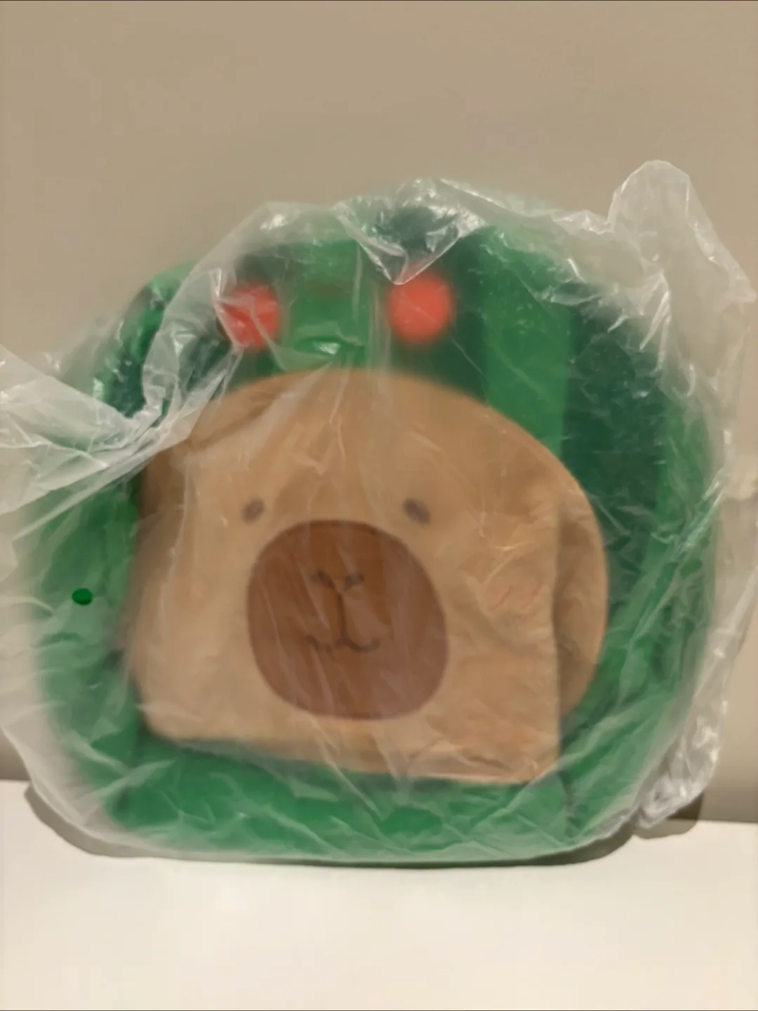 26 cm Capybara small bag thumbnail