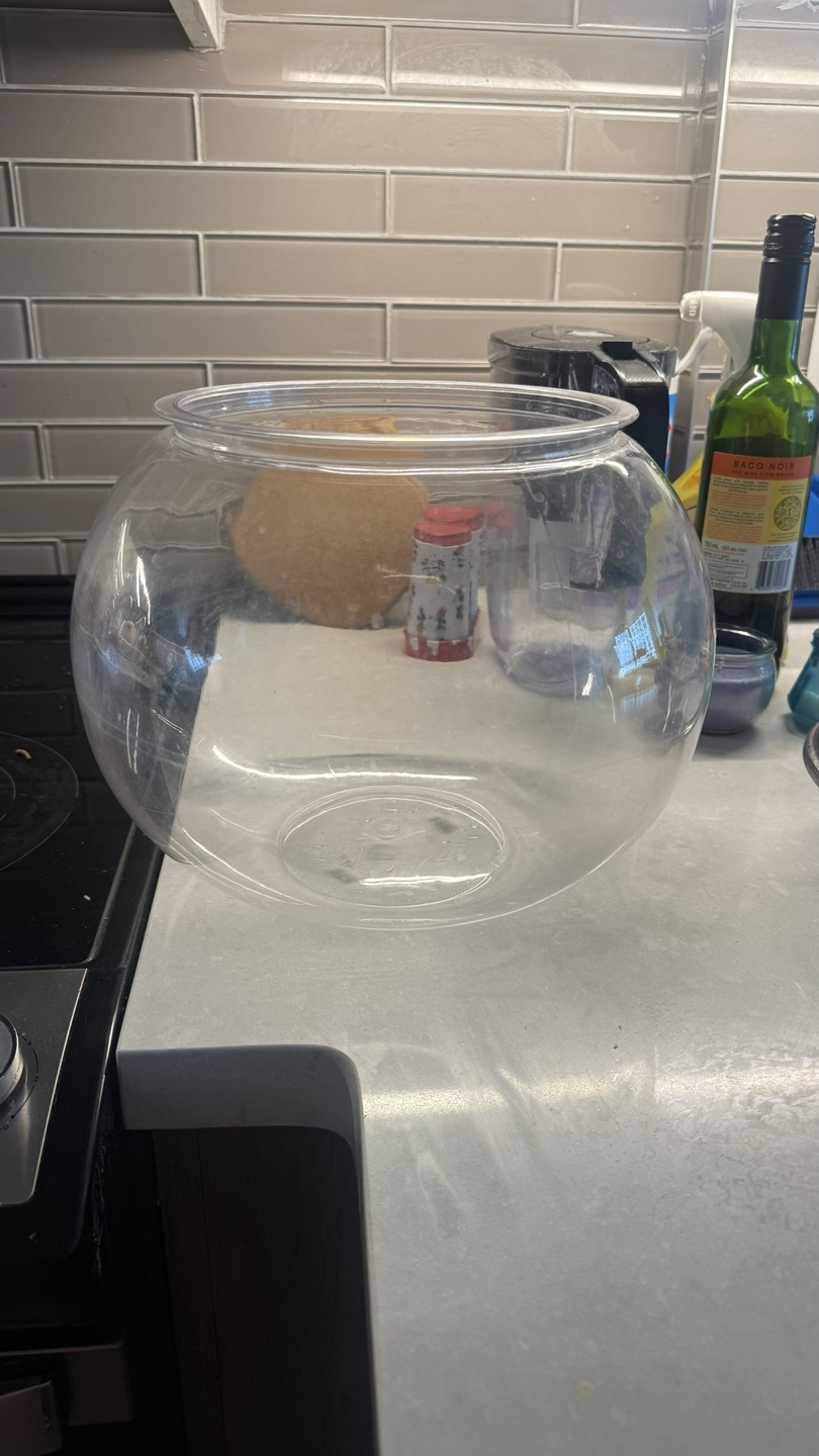 Large Clear Plastic Fish Bowl - photo 5