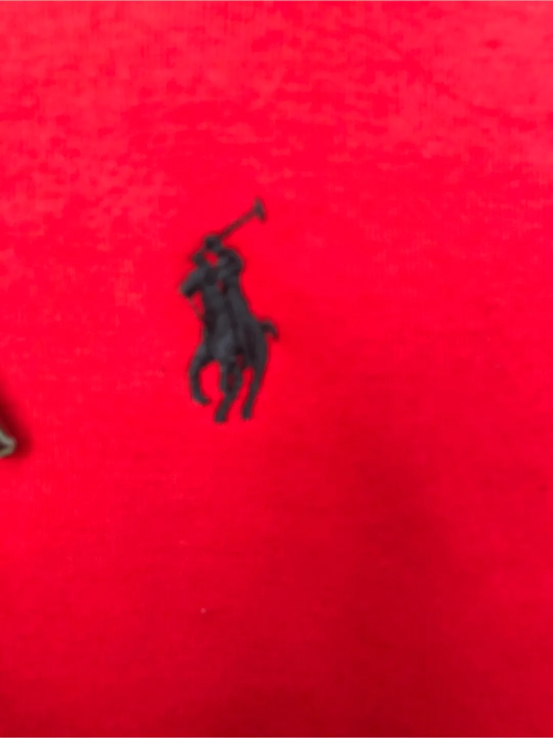 Polo Ralph Lauren Full-Zip Hoodies image indicator(4)