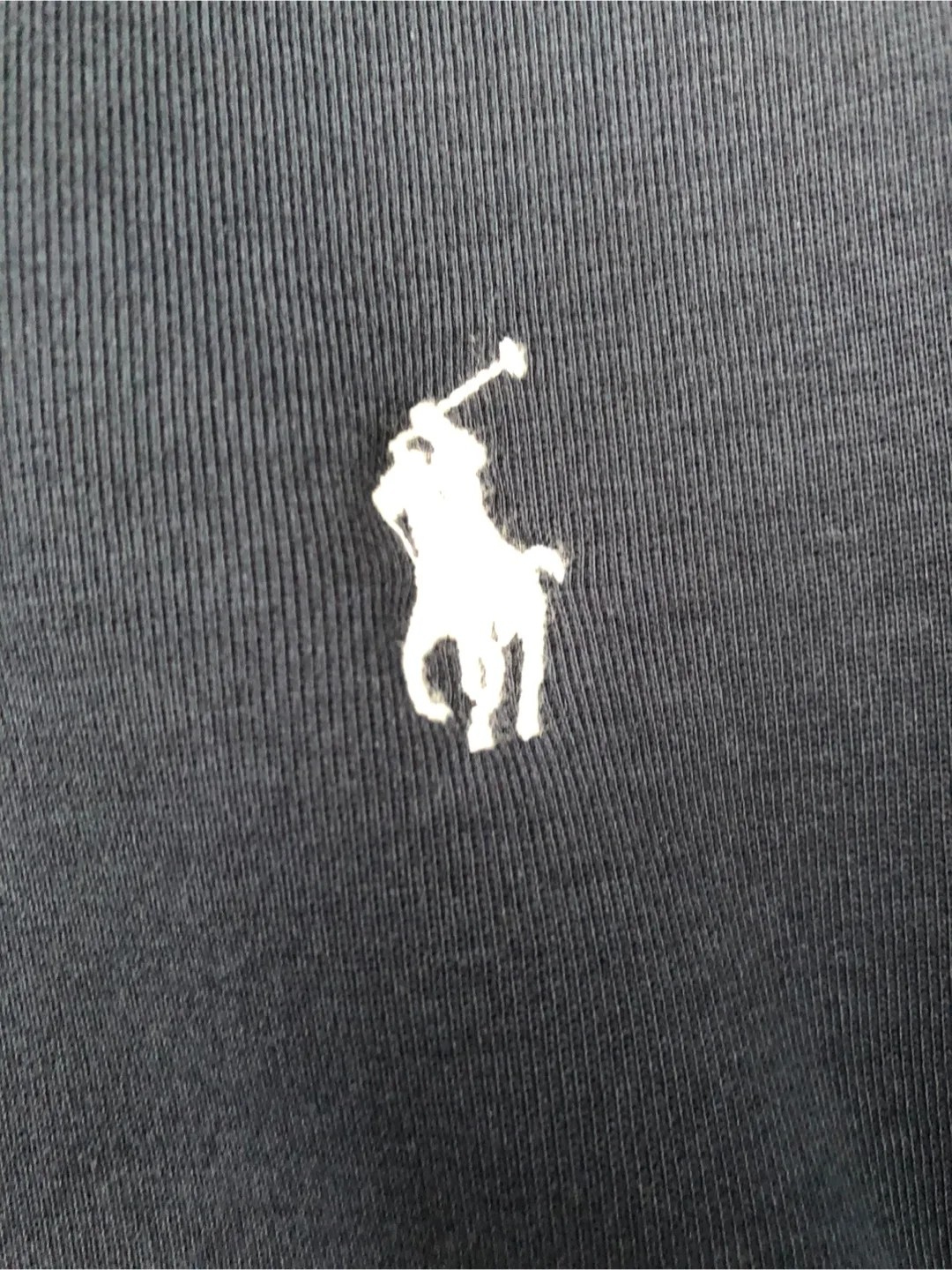 Polo Ralph Lauren Full-Zip Hoodies image indicator(3)