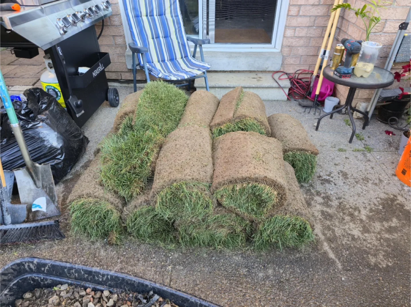 Grass Sod Rolls - Great for Lawn Repair! thumbnail