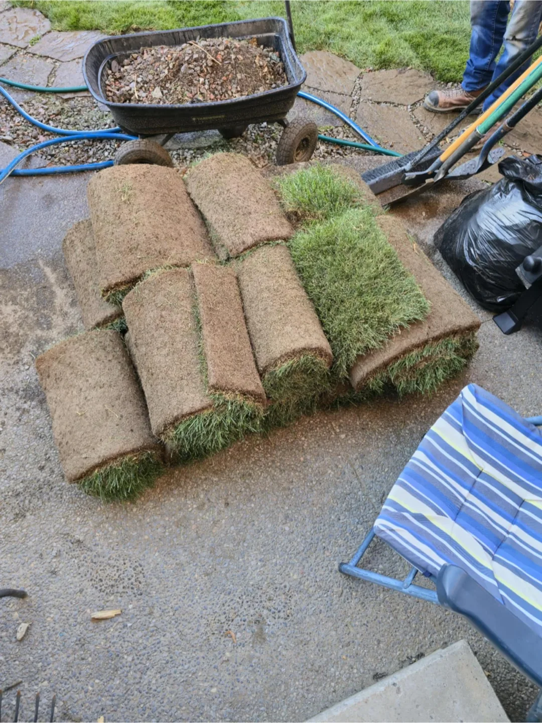 Grass Sod Rolls - Great for Lawn Repair! image indicator(3)